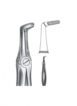 Extracting Forceps